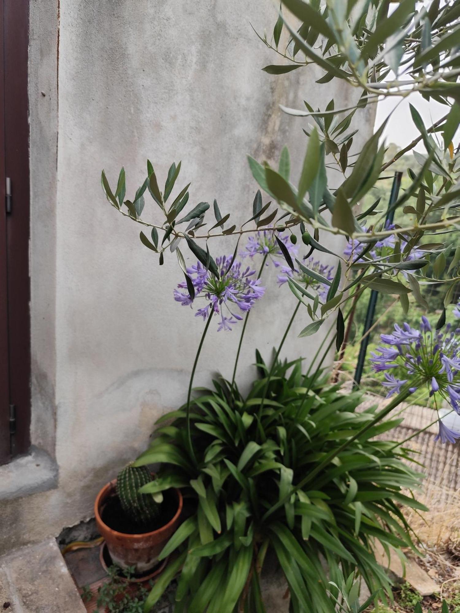 Casa In Antico Borgo Medievale A Tarano Ri, Via Giacomo Leopardi, 15 Villa Exteriör bild